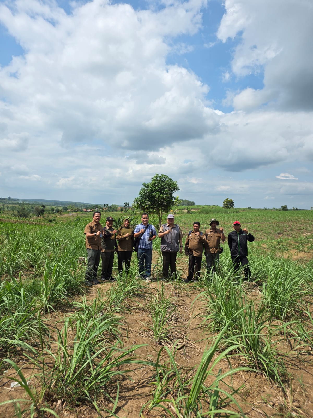 WhatsApp Image 2025-07-29 at 14.26.48